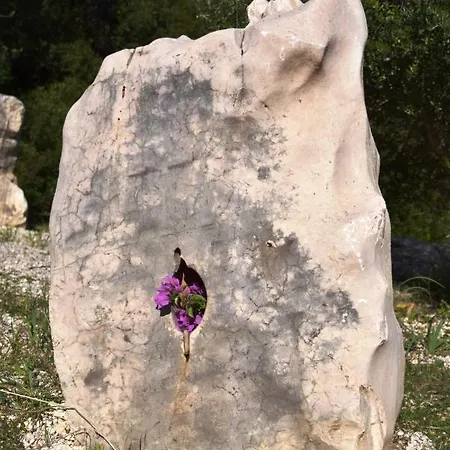 بيت للعطل Hora Frisca